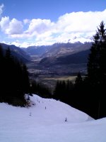 picture0033_706.jpg