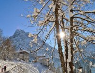 DSC_0442[1].jpg