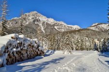 DSC_0779[1].jpg