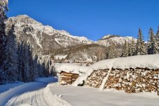 DSC_0800[1].jpg