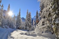 DSC_0846[1].jpg