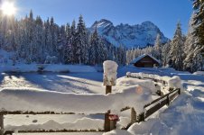 DSC_0854[1].jpg
