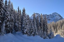DSC_0876[1].jpg