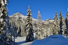 DSC_0880[1].jpg