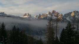 DSC_6312.jpg