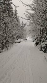 P_20181231_112817.jpeg