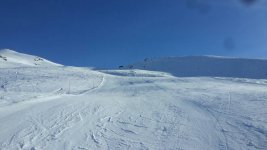 20190208_092807.jpeg