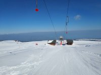 IMG_20190218_135347.jpeg