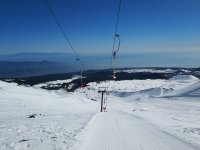 IMG_20190218_104043.jpeg