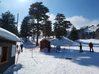 IMG_20190218_140502.jpeg