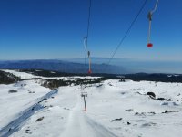 IMG_20190218_101217.jpeg