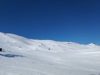 IMG_20190218_135615.jpeg