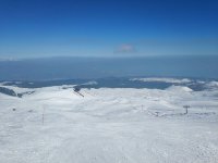 IMG_20190218_140018.jpeg