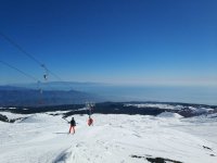 IMG_20190218_102204.jpeg
