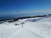 IMG_20190218_103746.jpeg