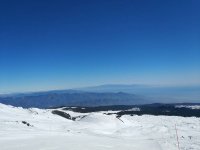 IMG_20190218_103253.jpeg