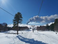 IMG_20190218_115948.jpeg