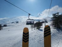 IMG_20190218_133944.jpeg