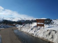 IMG_20190218_142742.jpeg