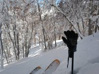 IMG_20190108_122536.jpeg