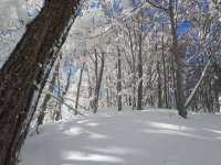 IMG_20190108_122559.jpeg