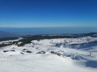 IMG_20190116_132824.jpeg