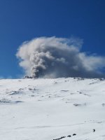 IMG_20190219_103539.jpeg