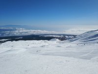 IMG_20190219_102613.jpeg