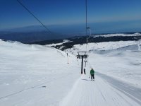 IMG_20190226_111543.jpeg