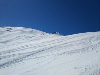 IMG_20190226_111525.jpeg