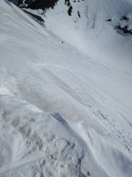 IMG_20190220_123139.jpeg
