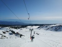 IMG_20190309_093724.jpeg