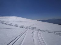 IMG_20190330_141634.jpeg