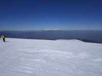 IMG_20190330_100131.jpeg