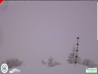 Screenshot_20190404-075443.jpg
