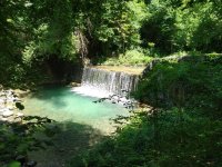 IMG_20190602_120529.jpg
