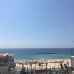 IMG_3528.jpg