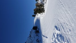 DSC03761.jpg