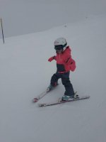 IMG_20191201_113446058.jpg