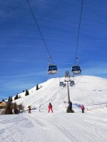 IMG_20200209_084531.jpg