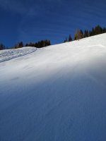 IMG_20200209_085253.jpg