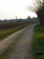 IMG_20200312_160028.jpg