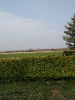IMG_20200312_161638.jpg