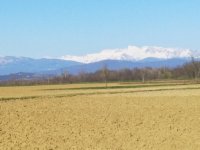 IMG_20200315_145600.jpg