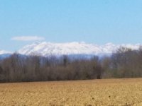 IMG_20200315_145234.jpg