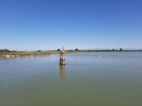 20200725_100916.jpg