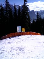 picture00475_206.jpg