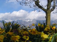copia_di_immagine_050_395.jpg