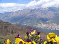 copia_di_immagine_043_167.jpg