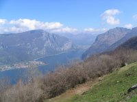 copia_di_immagine_031_173.jpg